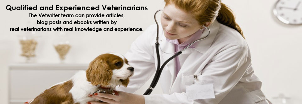 Qualified and Experienced Veterinarians